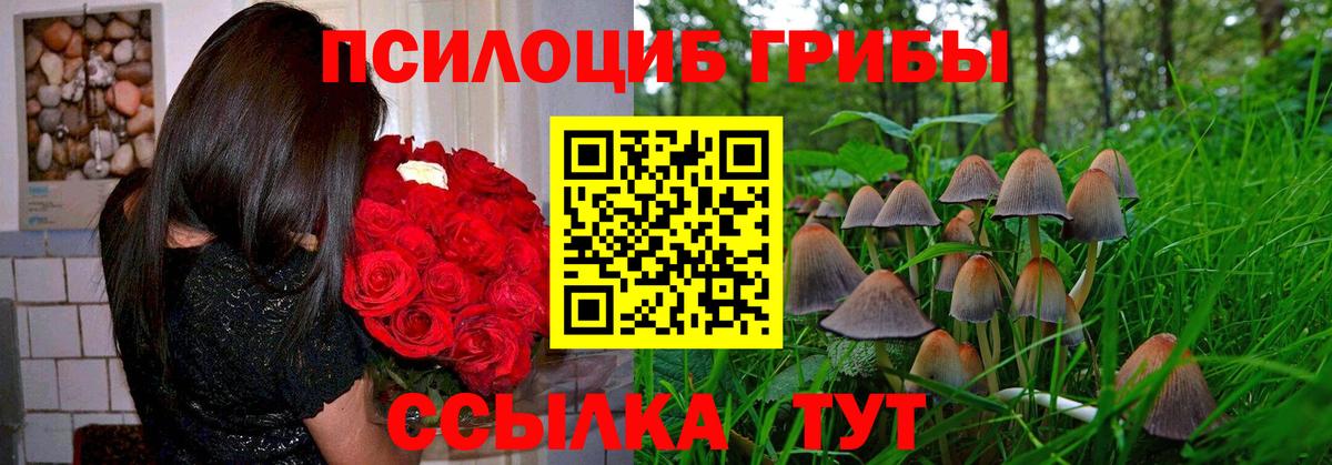 Южноуральск  Галлюциногенные грибы мицелий  Вход с VPN 